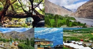 एक यादगार सफ़र-रागिनी