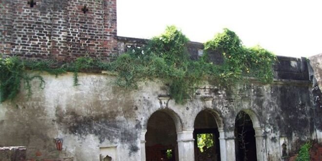 Select पर्यावरण का महत्व संस्मरण पर्यावरण का महत्व संस्मरण