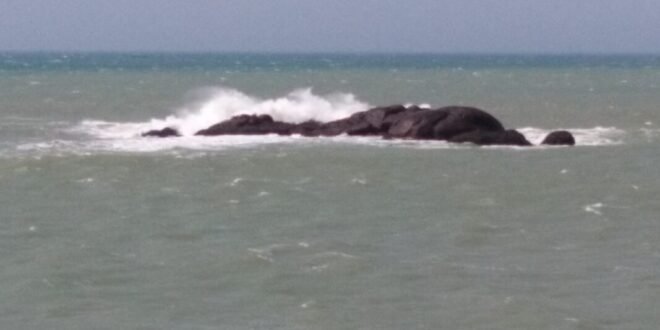 साहित्य सरोज साप्ताहिक लेखन व चित्र प्रतियोगिता फोटो अखंड गहमरी